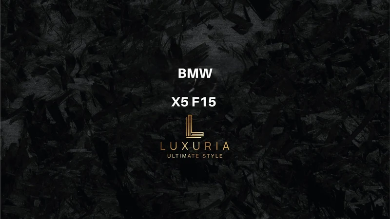 Originale Rückfahrkamera für BMW X5 F15 inkl. Einbau (Nachrüstung)