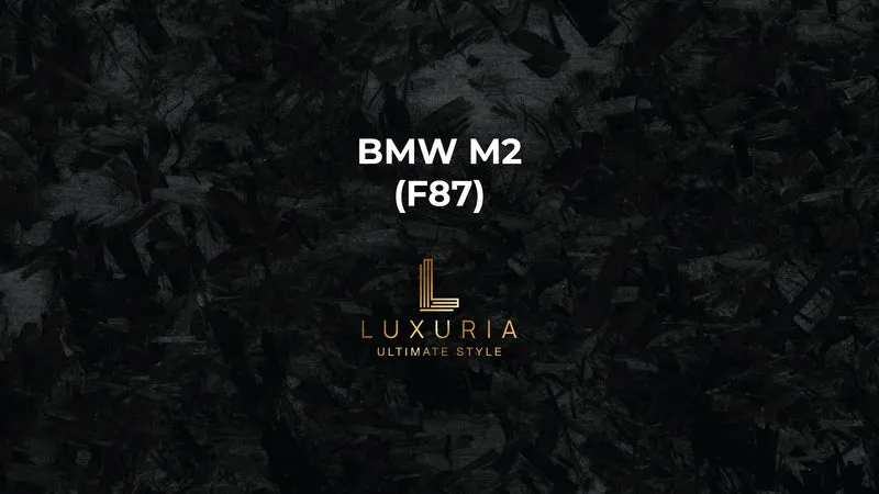 Ambientebeleuchtung für BMW M2 Competition/Coupe (F87) inkl. Einbau (Nachrüstung)