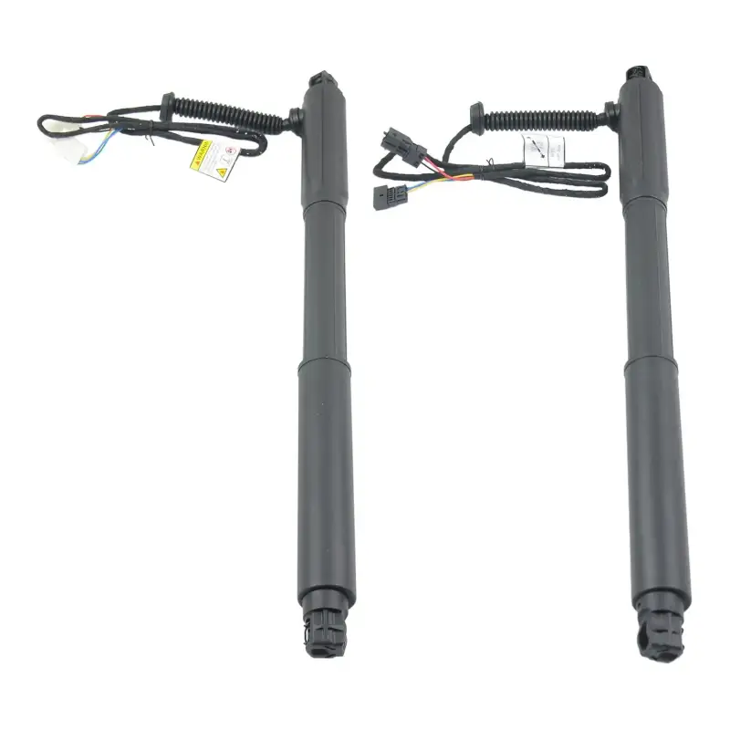 Zestaw Podnośników Elektrycznych Klapy Tylniej L+P dla BMW X5 E70 (2007-2013)